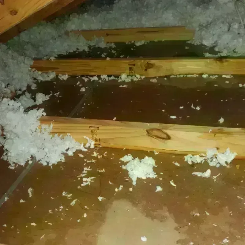 Attic Water Damage in Belington, WV